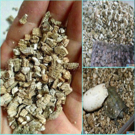 i孵化用优级银白蛭石 龟蛋孵化蛭石 6-8mm孵化蛭石